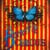 The Butterfly Circus