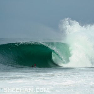 Profile picture for Gareth Sheehan