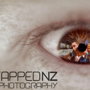 Profile picture for TappedNZ Photography