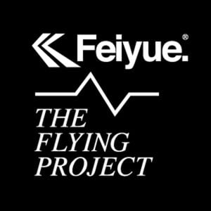 Profile picture for The flying project
