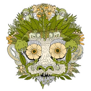 Profile picture for Matt Johnstone