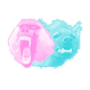 Profile picture for MIchel