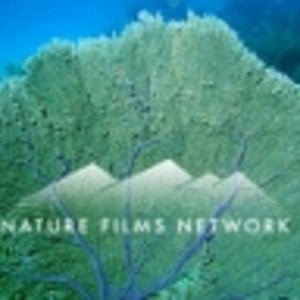 Profile picture for Nature Films Network