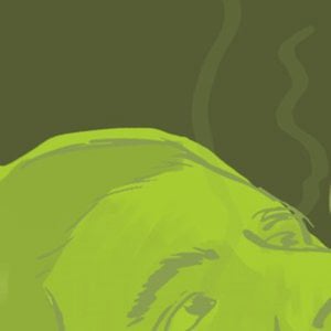 Profile picture for Sujil Sukumaran