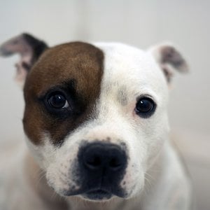 Profile picture for The Secondhand Projects