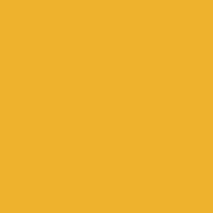 Profile picture for Khyentse Norbu