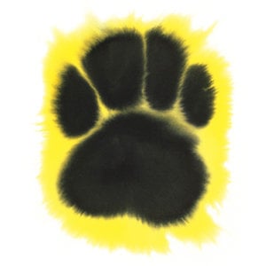 Profile picture for Rop van Mierlo