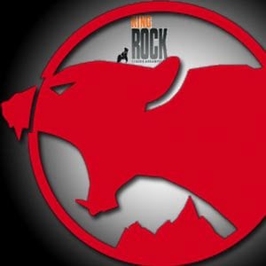 Profile picture for king rock wild climb