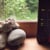 Digital Living