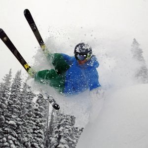 Profile picture for Palmer Hoyt