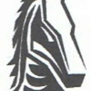 Profile picture for Leon Schatz