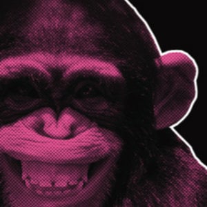 Profile picture for Grain Media