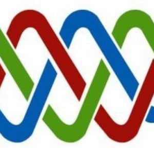 Profile picture for Community Energy Scotland