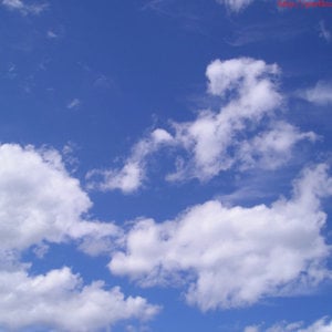 Profile picture for Fly Away