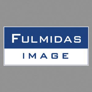 Profile picture for Fulmidas Image