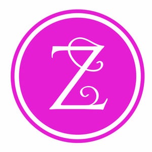 Profile picture for Studio Z Films