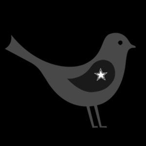 Profile picture for BIRD | VISUAL