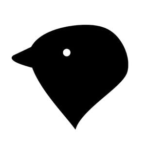 Profile picture for Nicola Carignani