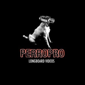 Profile picture for PERROPRO