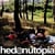 hedonutopia
