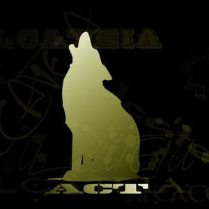 Profile picture for Alcateia.bcn
