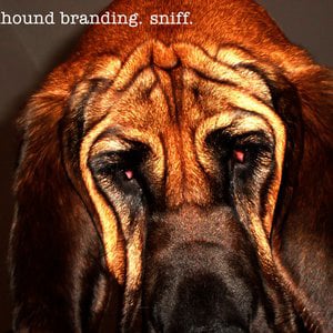 Profile picture for Bloodhound Branding
