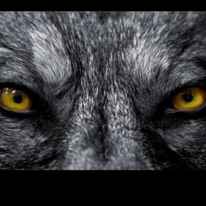Profile picture for Equilibremael