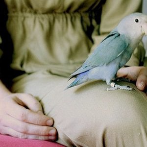 Profile picture for Yulia Velichko