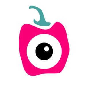 Profile picture for Animal Salad