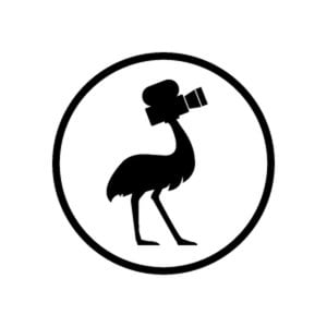 Profile picture for Documentary Shop