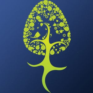 Profile picture for animastudio