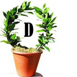 Profile picture for daphne film