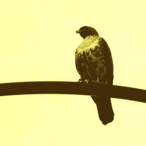 Profile picture for ArkayPix
