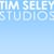Tim Seley Studios