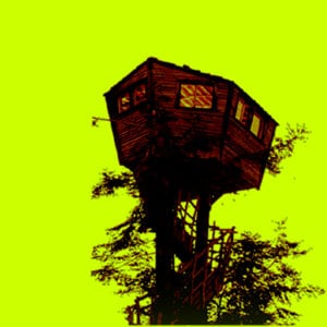 Profile picture for Urban Wetlands