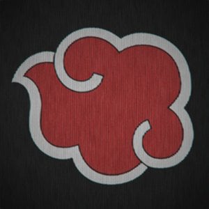 Profile picture for Thomas Mansencal