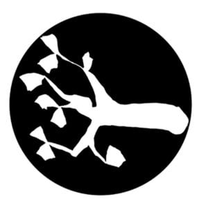 Profile picture for KNOPPAR Sweden