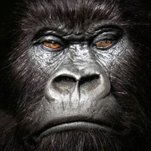 Profile picture for we are fallon