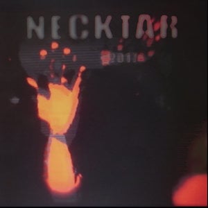 Profile picture for Necktar 2017