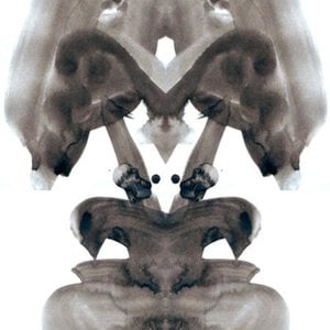 Profile picture for Roman