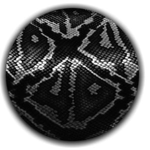 Profile picture for Matteo giordano