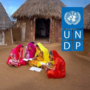 Profile picture for UNDP