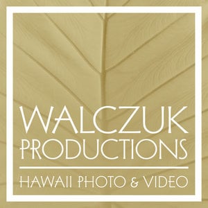 Profile picture for Walczuk Productions