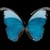 Dounia B
