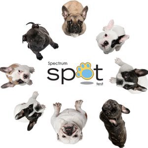 Profile picture for Spectrum Labs