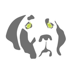 Profile picture for Blair Dog