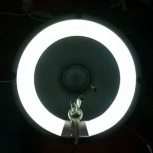 Profile picture for YAO