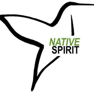 Profile picture for Native Spirit