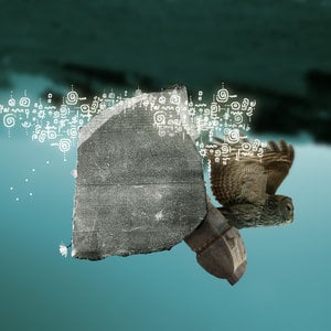 Profile picture for nebiyikaroglu