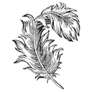 Profile picture for Mab
